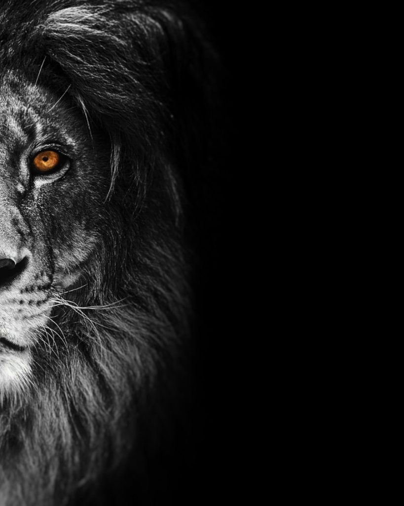 Declaração do Imposto de Renda 2026 já pode ser enviada