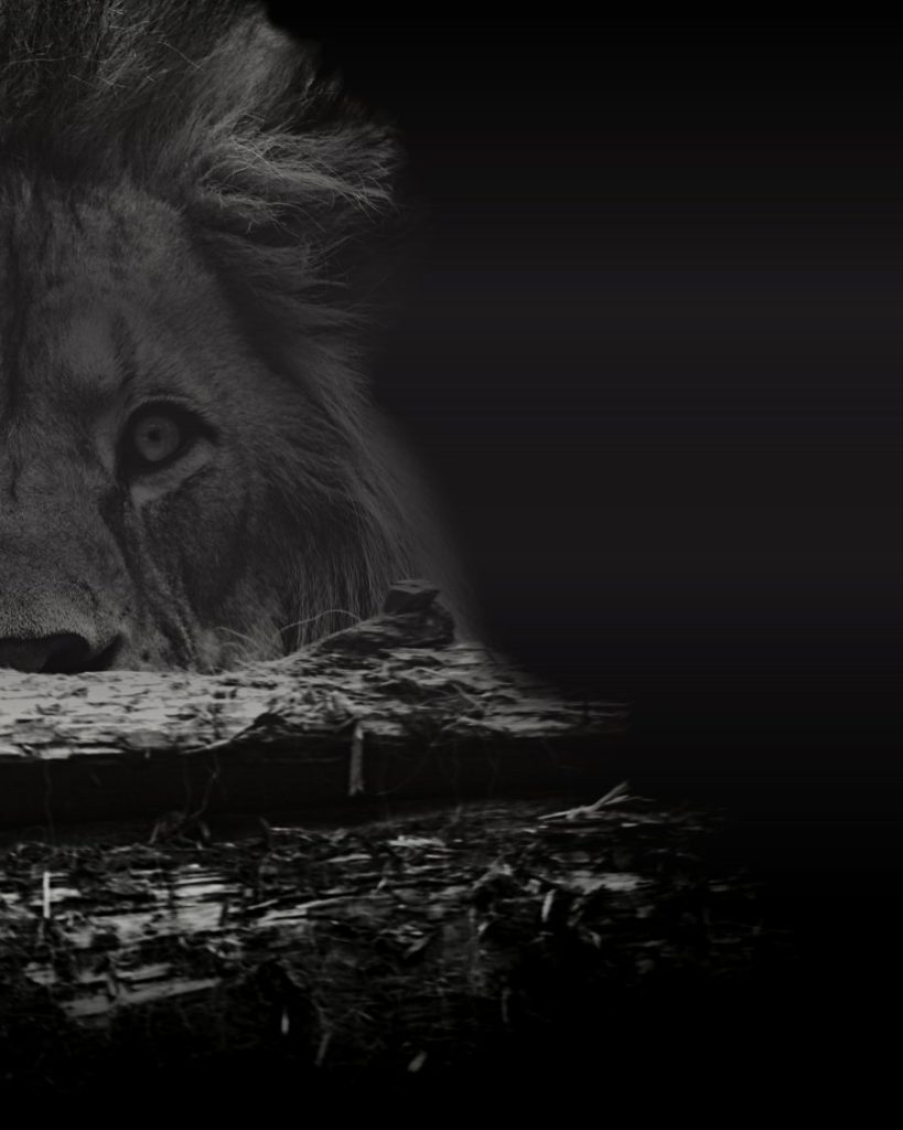 Saiba quem deve declarar Imposto de Renda em 2026